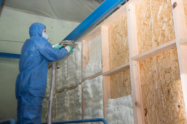 Best Insulation Removal  in Lincoln Rk, PA
